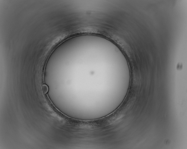 X0000092250625200709281144