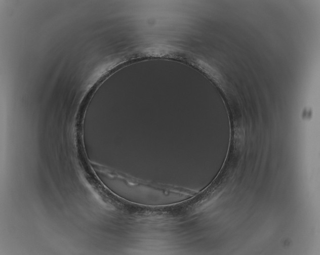 X0000092250626200709281144