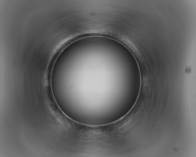 X0000092250628200709281144