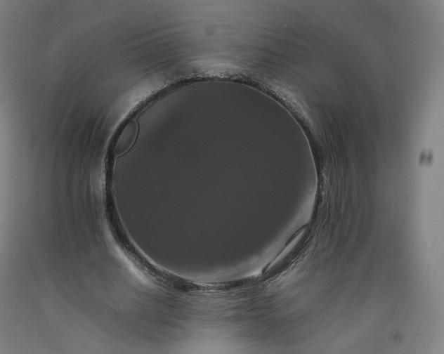 X0000092250630200709281144