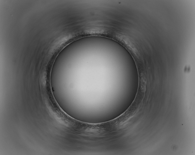 X0000092250631200709281144