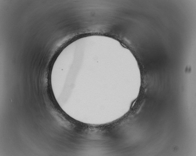 X0000092250632200709281144