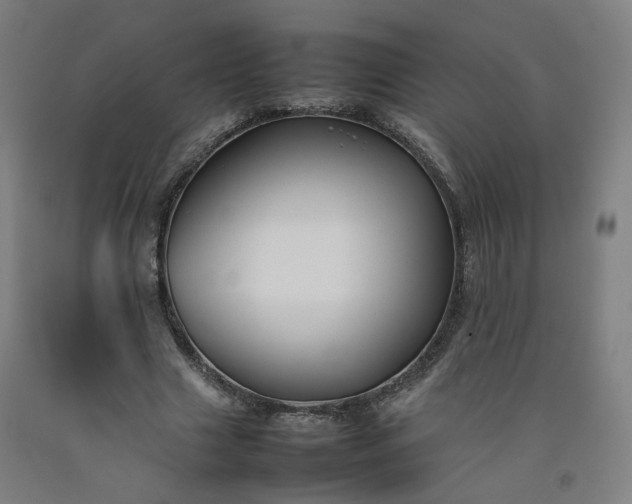 X0000092250633200709281144