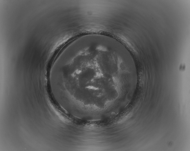 X0000092250634200709281144