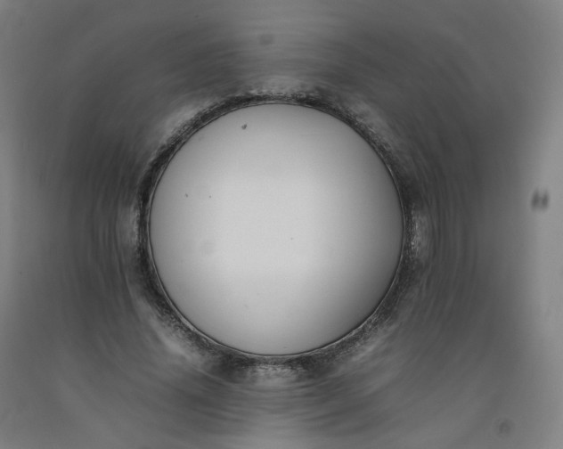 X0000092250636200709281144