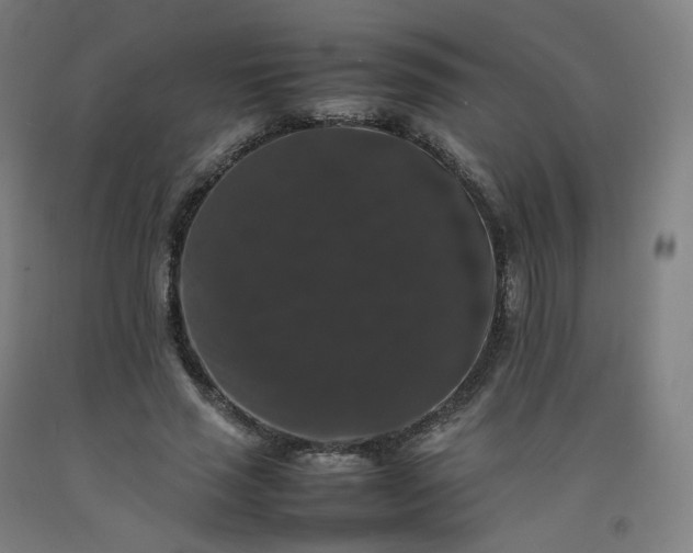 X0000092250637200709281144