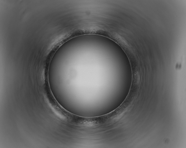 X0000092250638200709281144