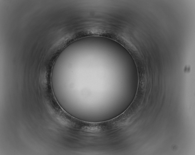 X0000092250639200709281144