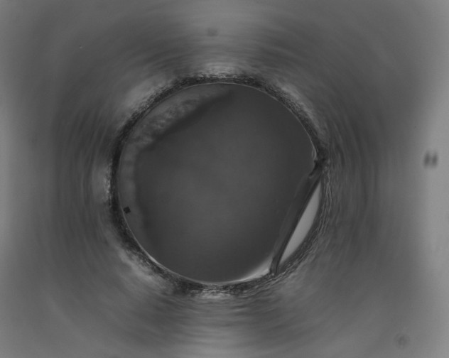 X0000092250640200709281144