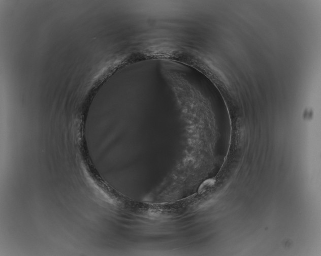 X0000092250641200709281144