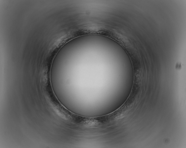 X0000092250642200709281144