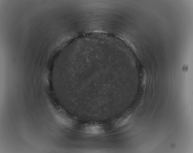 X0000092250643200709281144