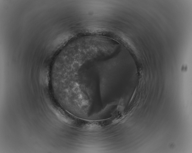 X0000092250644200709281144