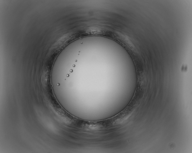 X0000092250645200709281144