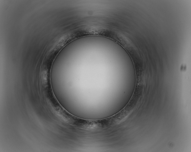 X0000092250646200709281144