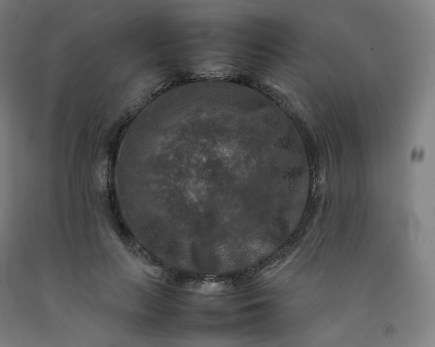 X0000092250647200709281145