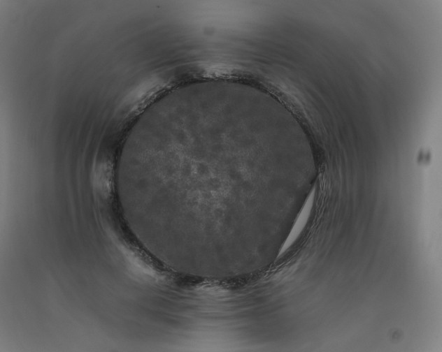 X0000092250648200709281145