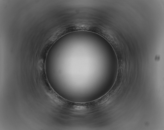 X0000092250649200709281145