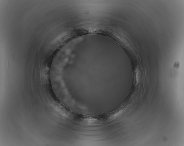 X0000092250650200709281145