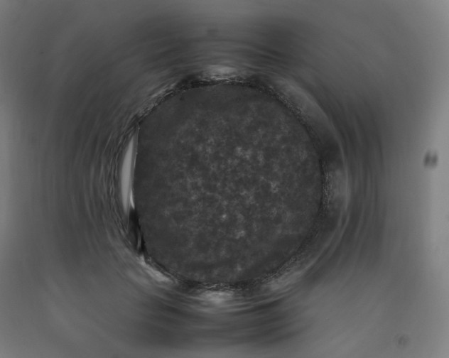 X0000092250653200709281145