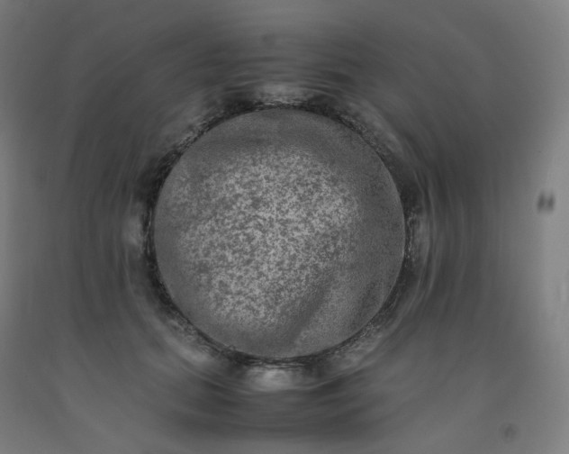 X0000092250655200709281145