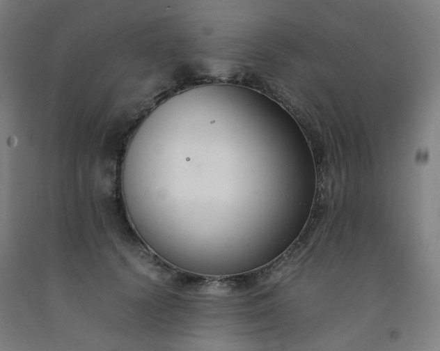 X0000092250656200709281145