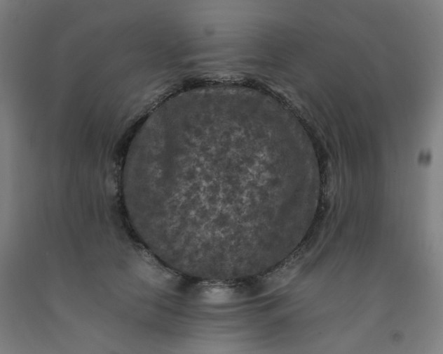 X0000092250658200709281145