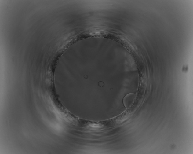 X0000092250659200709281145