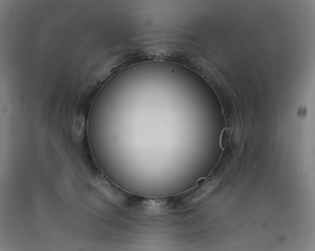 X0000092250660200709281145