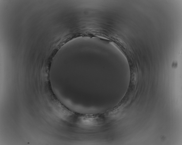 X0000092250661200709281145