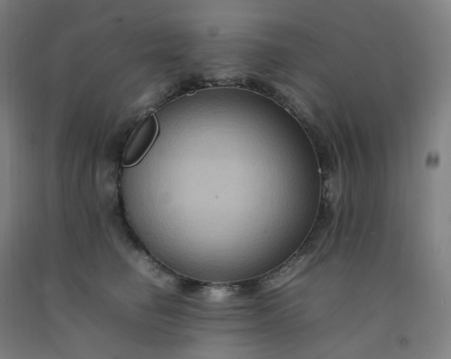 X0000092250662200709281145