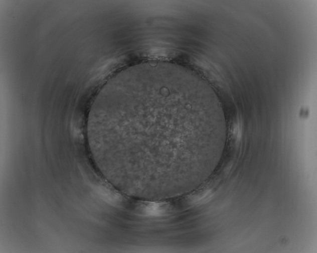 X0000092250663200709281145