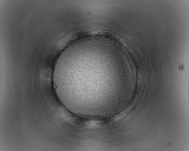 X0000092250664200709281145