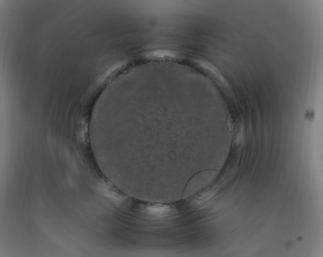 X0000092250669200709281145