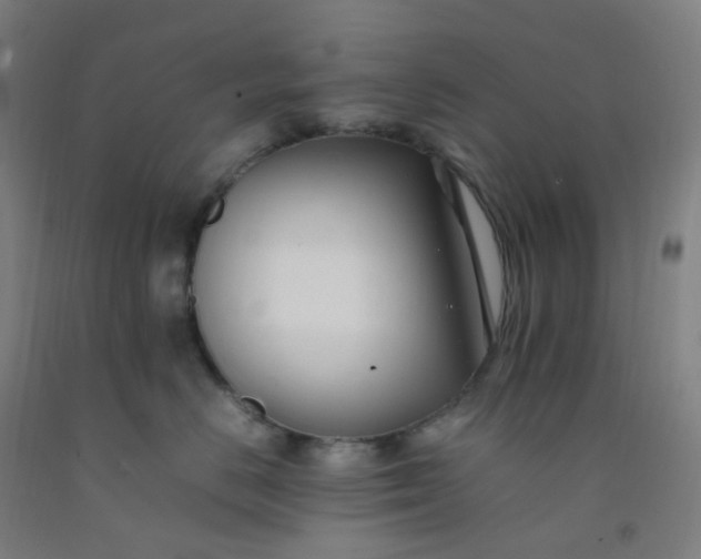 X0000092250670200709281145