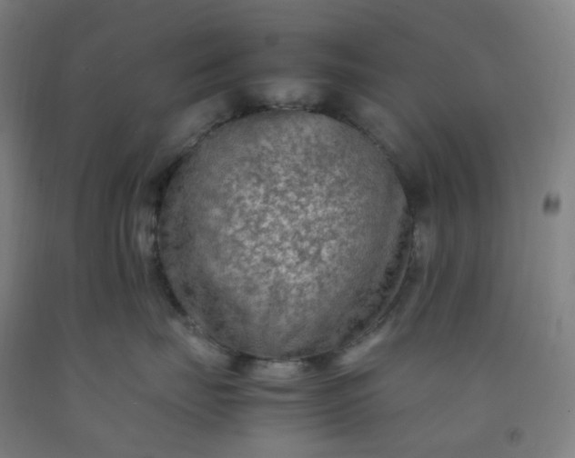 X0000092250671200709281145