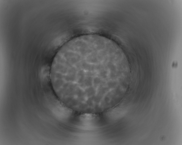 X0000092250672200709281145