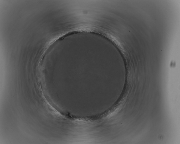 X0000092250673200709281144