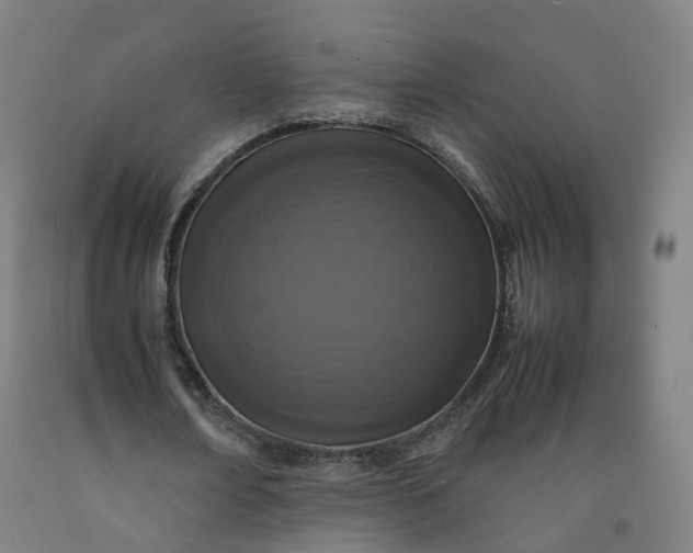 X0000092250674200709281144