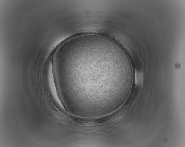 X0000092250675200709281144