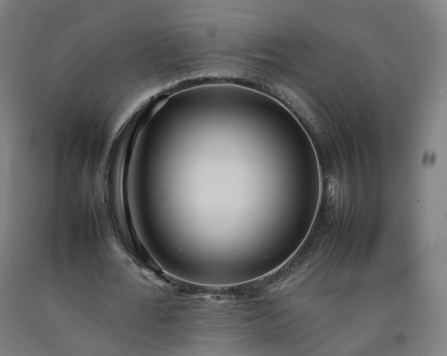 X0000092250676200709281144