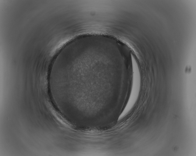 X0000092250677200709281144