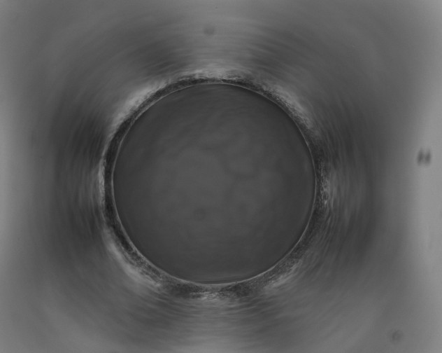 X0000092250678200709281144