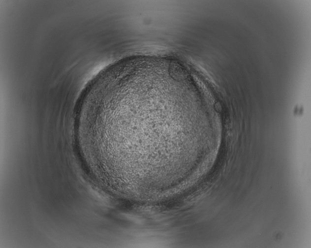 X0000092250679200709281144