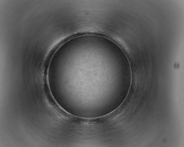 X0000092250680200709281144