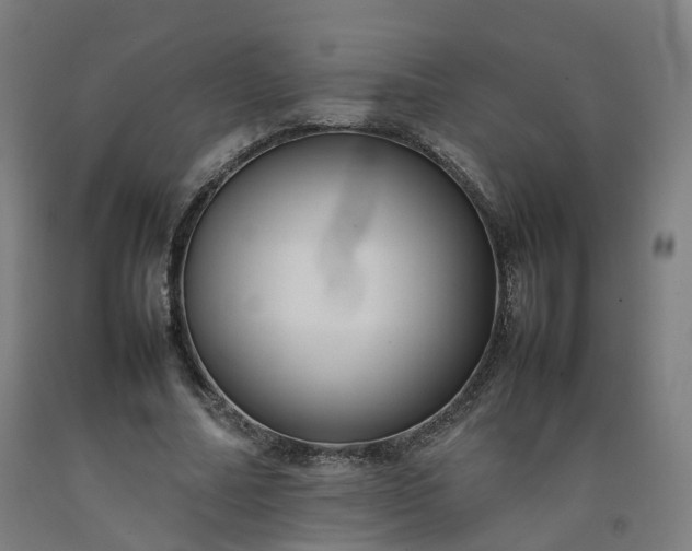 X0000092250682200709281144