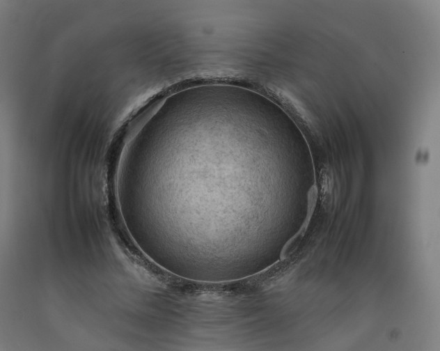 X0000092250684200709281144