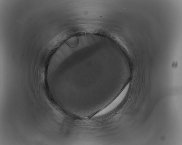 X0000092250685200709281144