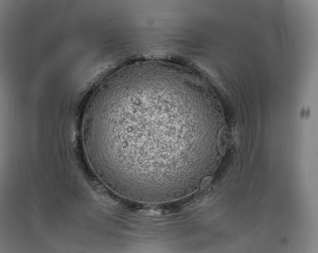 X0000092250687200709281144