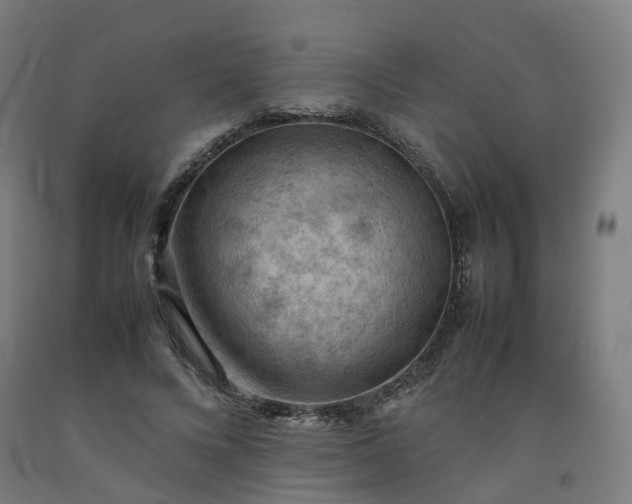 X0000092250688200709281144